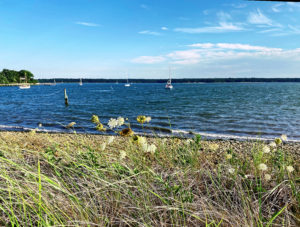 Shelter Island view