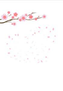 Branch of sakura with flowers. Cherry blossom branch with petals