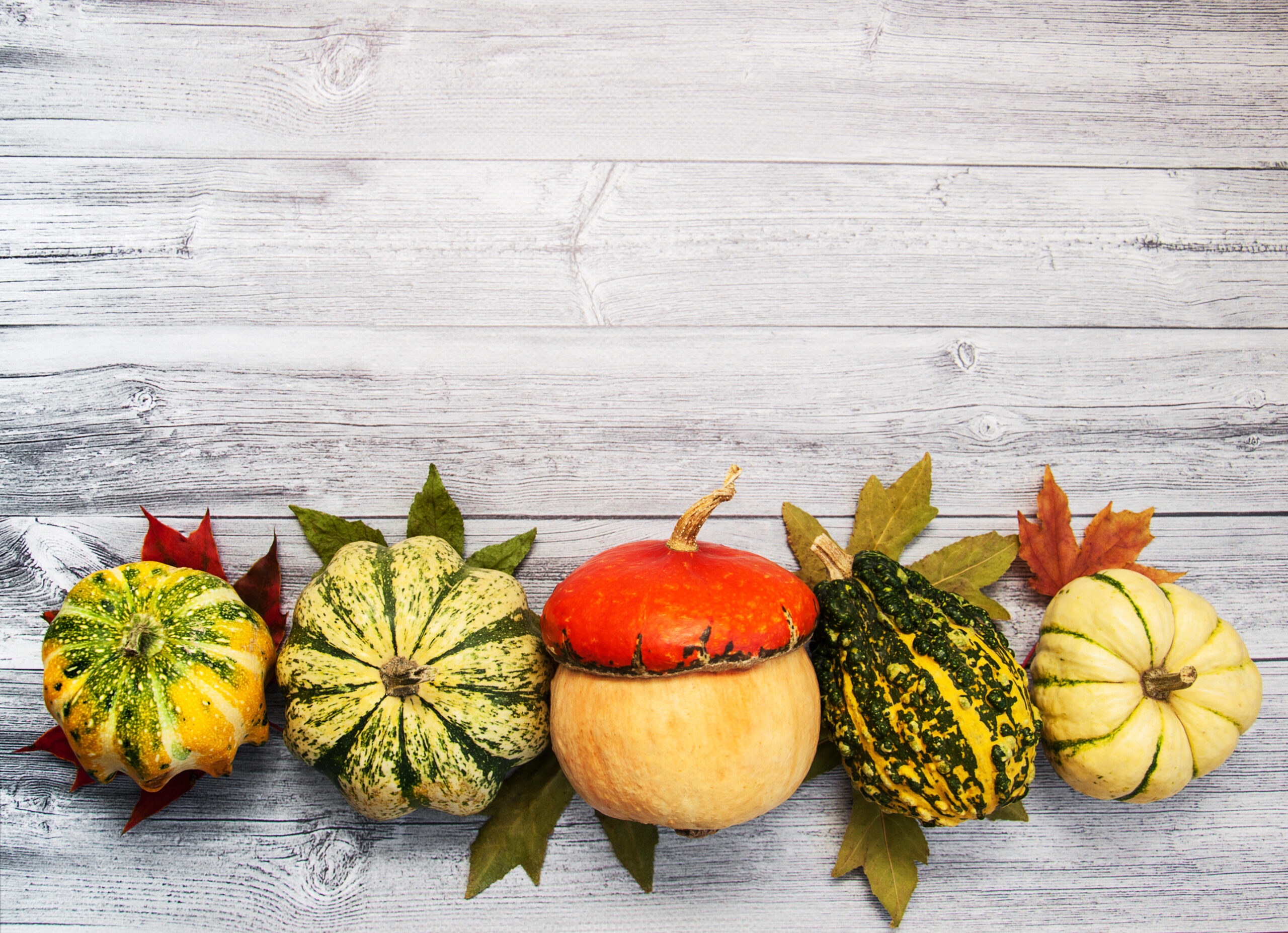 Pumpkins with autumn leaves